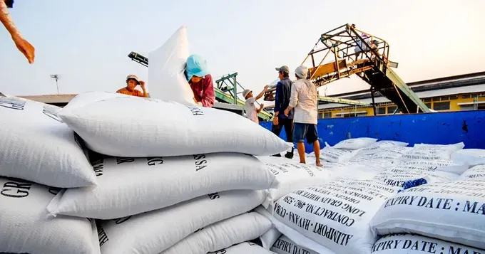 550097-xuat-khau-gao-o-dbscl-anh-cong-han-4-3608-mgeo-2923-7359.jpg (1)